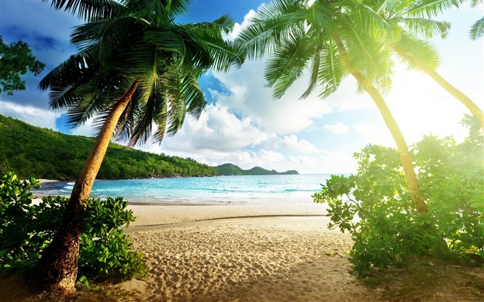 Nature treasures landscape desktop wallpaper Views:50219
